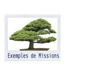 Formation sur Mesure - Exemples de missions